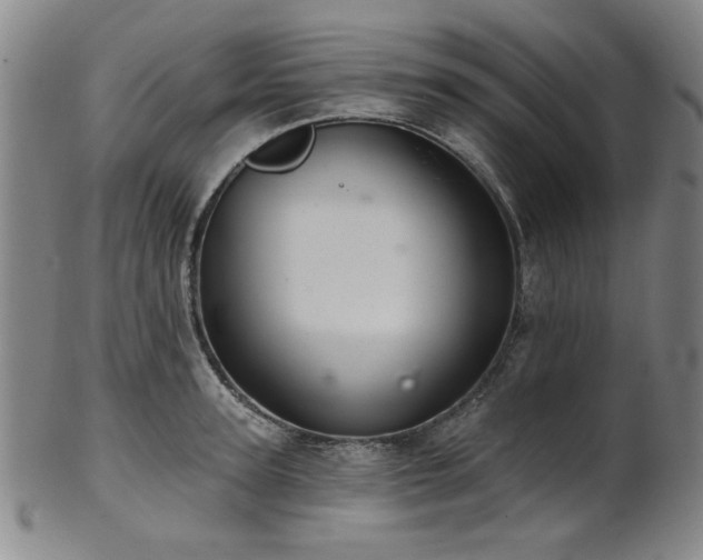 X0000102460947200808081224
