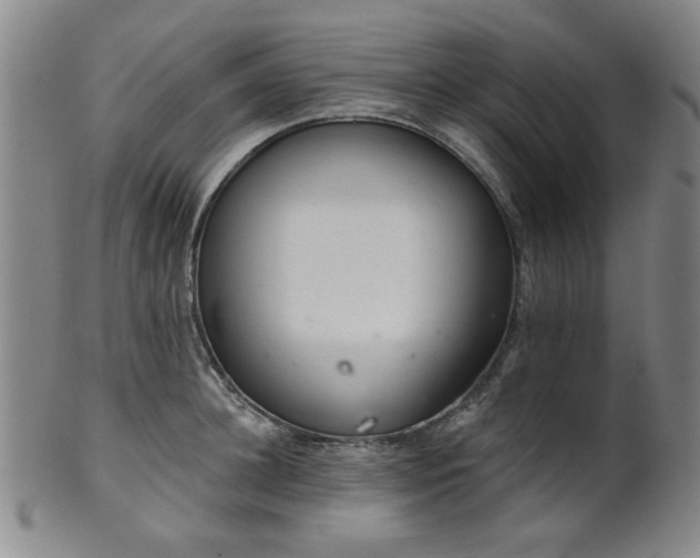 X0000102460948200808081224