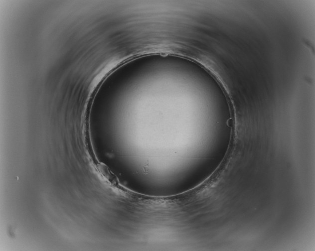 X0000102460949200808081224