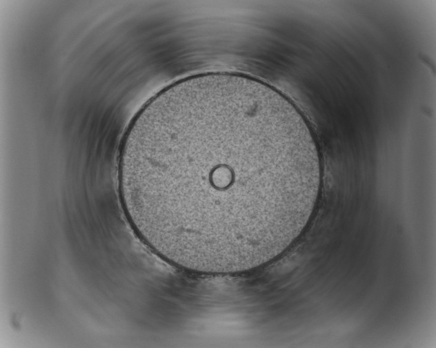 X0000102460950200808081224