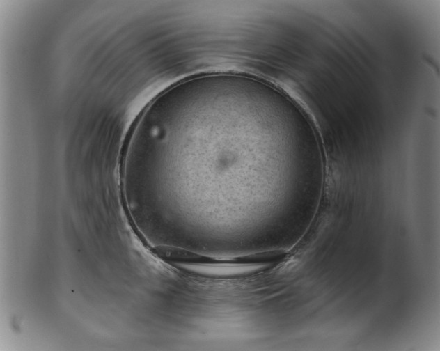 X0000102460951200808081224