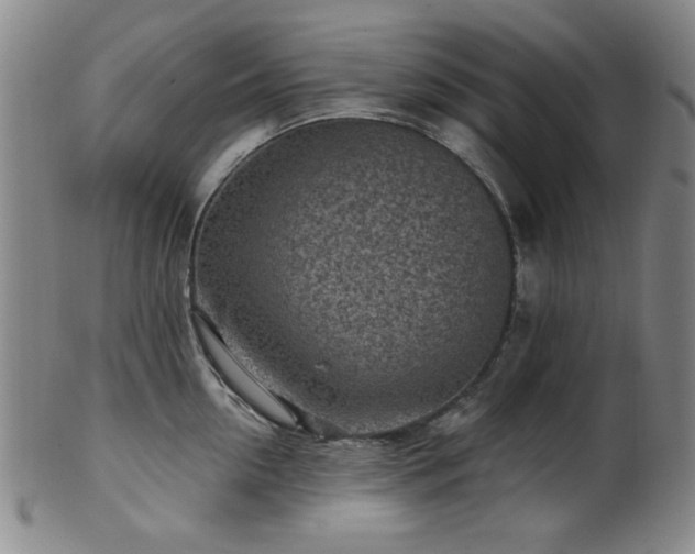 X0000102460954200808081224