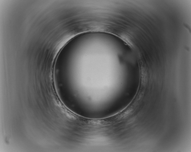 X0000102460956200808081224
