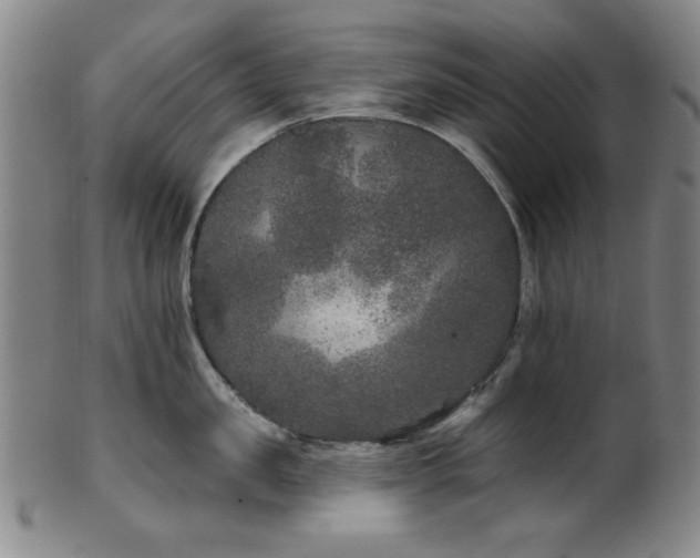 X0000102460957200808081224