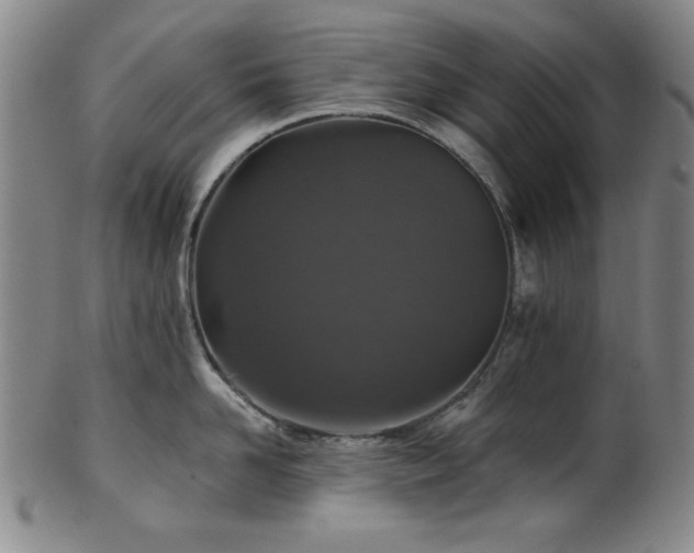 X0000102460958200808081224