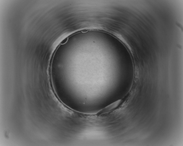 X0000102460959200808081224