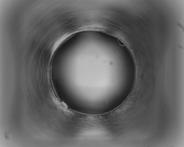 X0000102460960200808081224