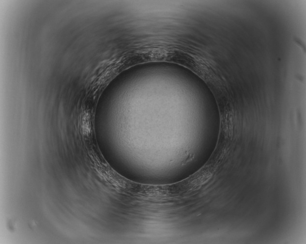 X0000102460962200808081224