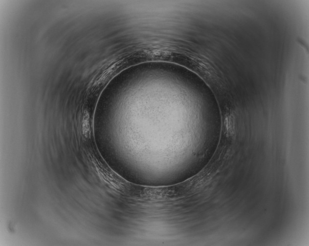 X0000102460963200808081224