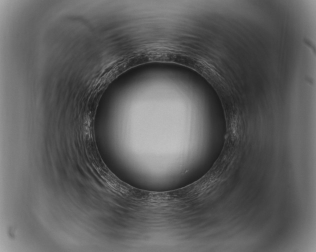X0000102460964200808081224