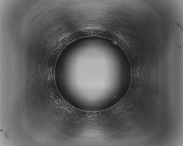 X0000102460965200808081224
