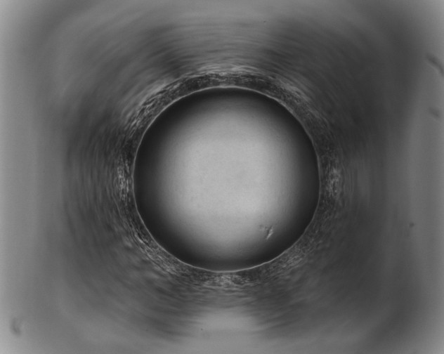 X0000102460966200808081224