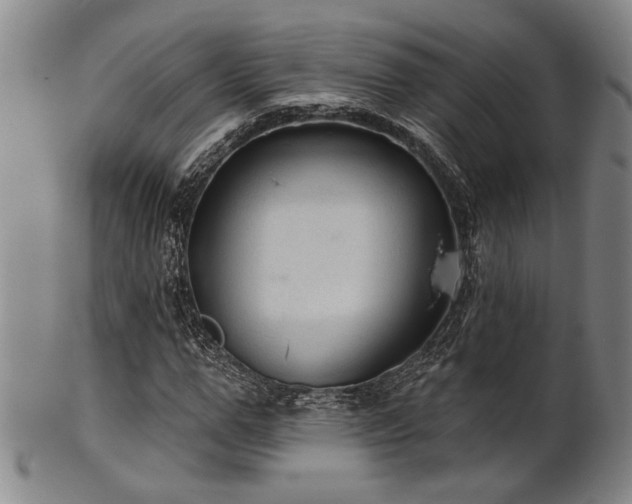 X0000102460967200808081224