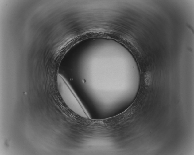X0000102460968200808081224