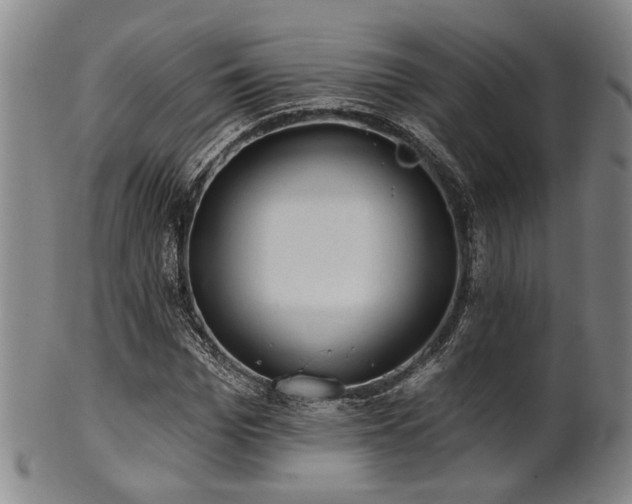 X0000102460969200808081223