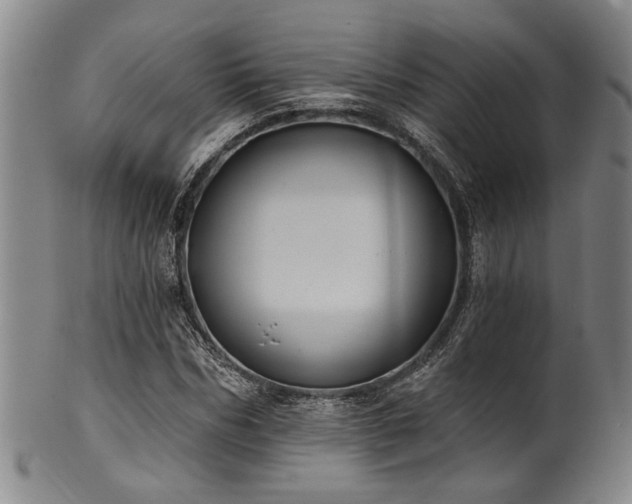 X0000102460970200808081223