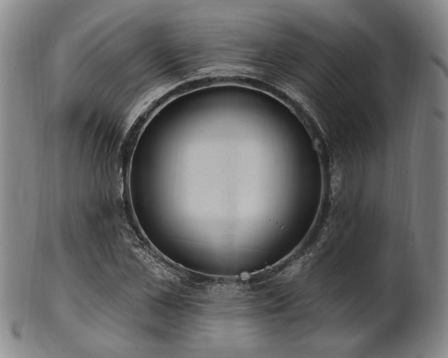X0000102460973200808081223