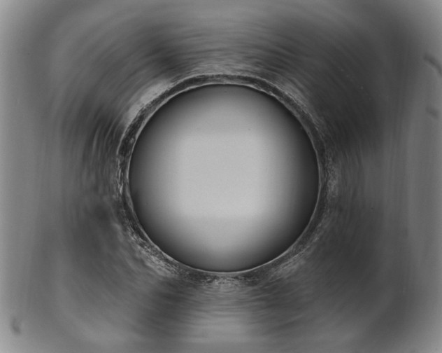 X0000102460974200808081223