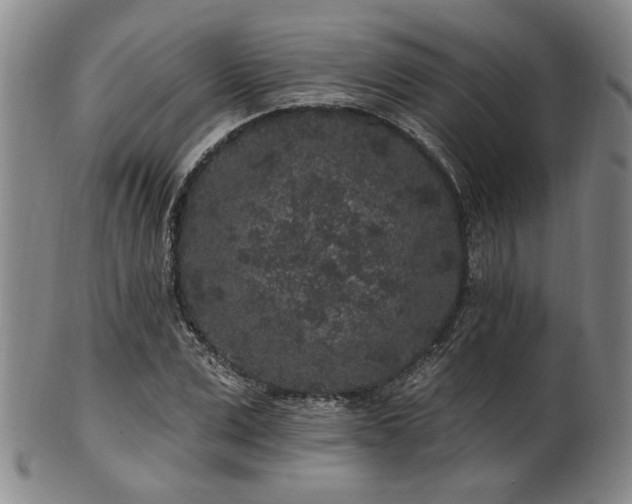 X0000102460975200808081223
