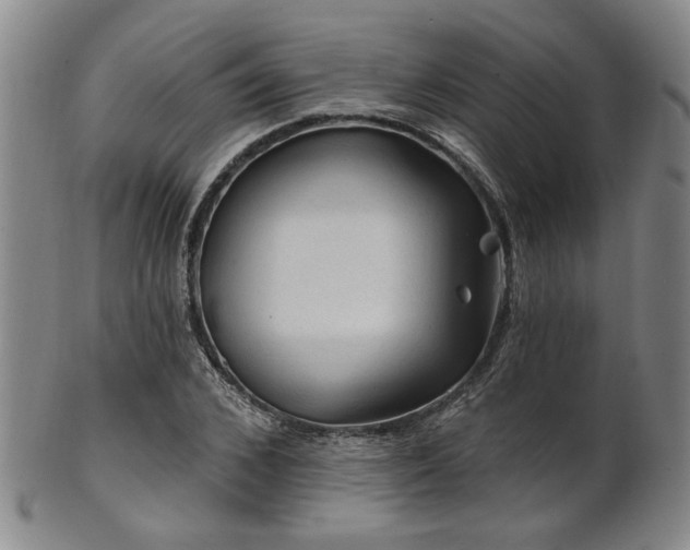X0000102460976200808081223