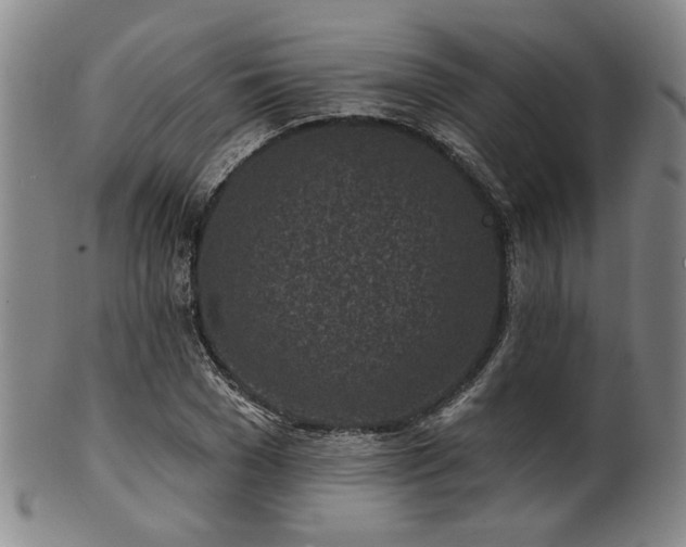 X0000102460977200808081223