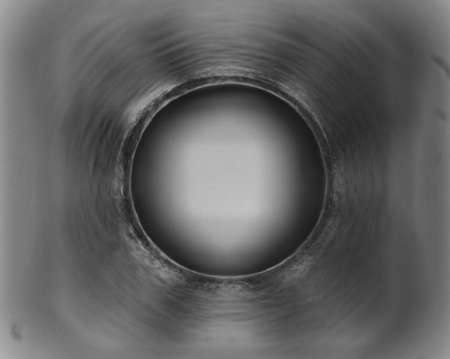 X0000102460979200808081223