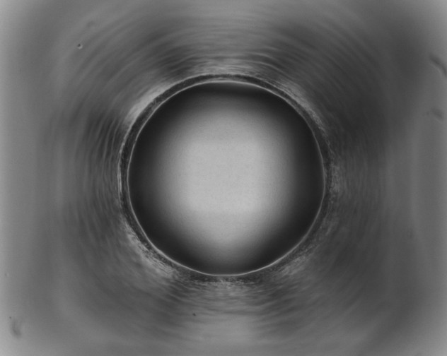 X0000102460980200808081223