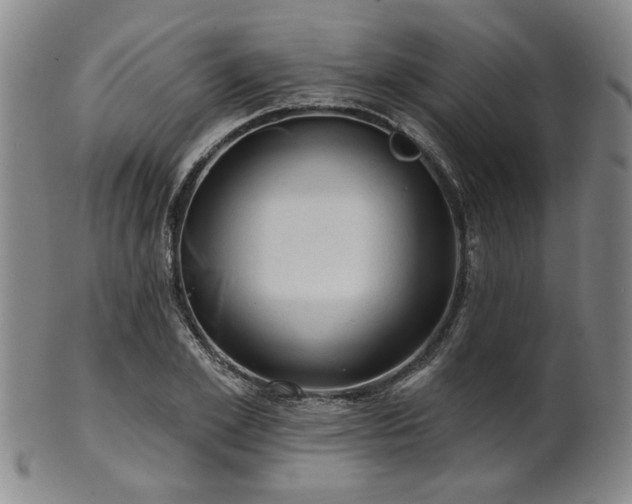 X0000102460981200808081223