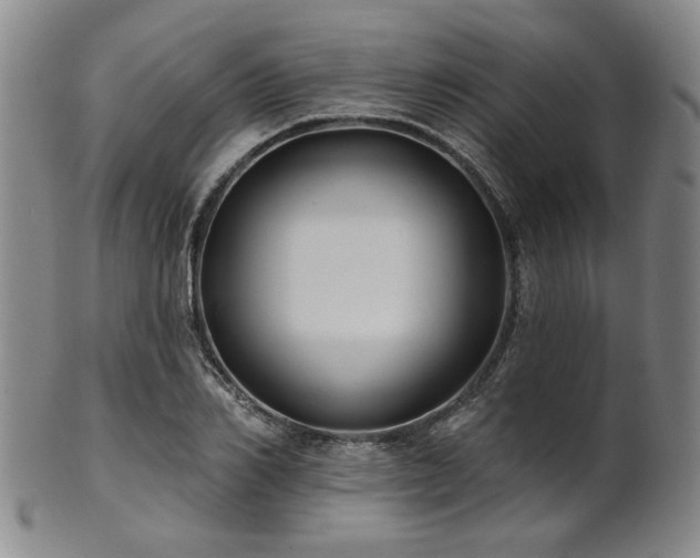 X0000102460982200808081223