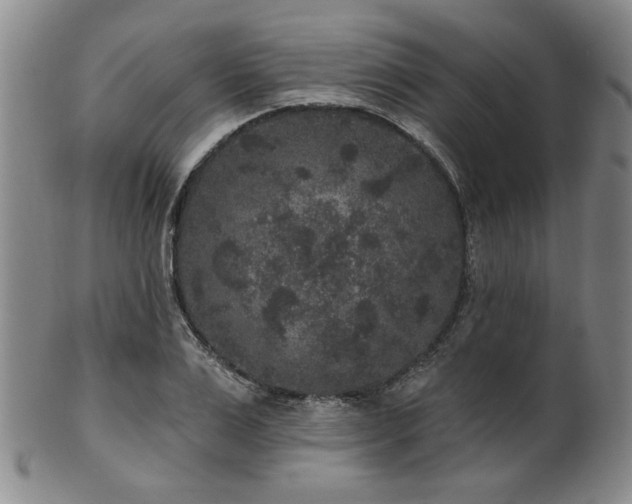 X0000102460983200808081223