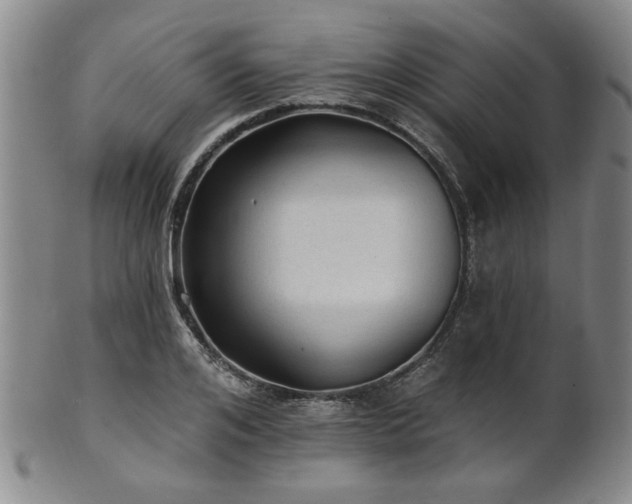 X0000102460984200808081223