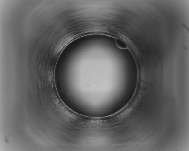 X0000102460985200808081223