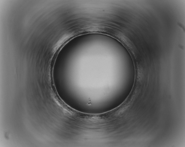X0000102460986200808081223