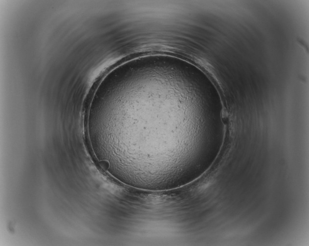 X0000102460987200808081223