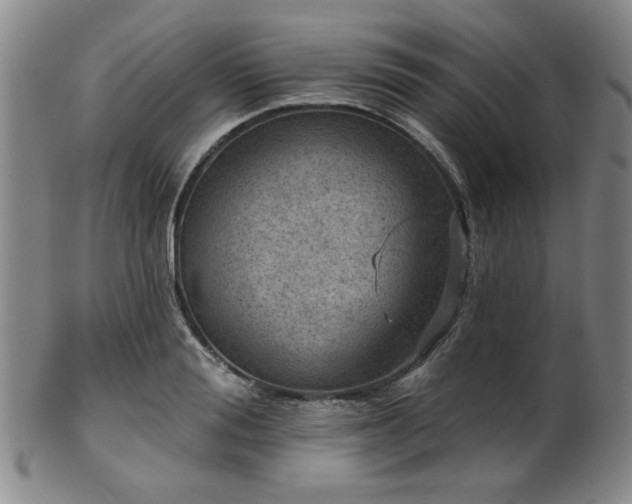 X0000102460988200808081223