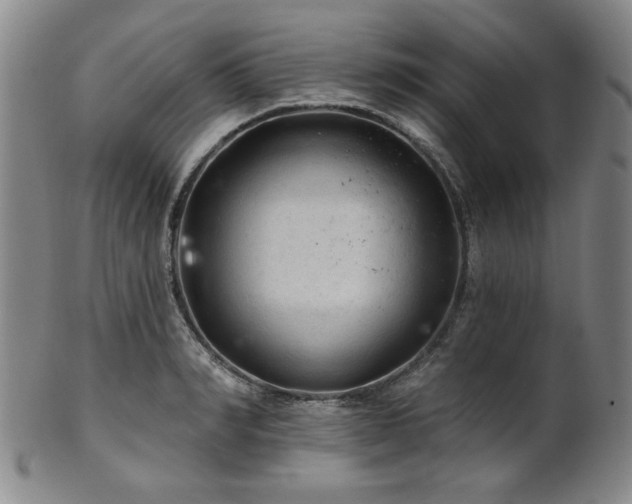 X0000102460990200808081223