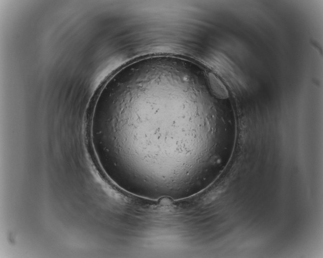 X0000102460991200808081223