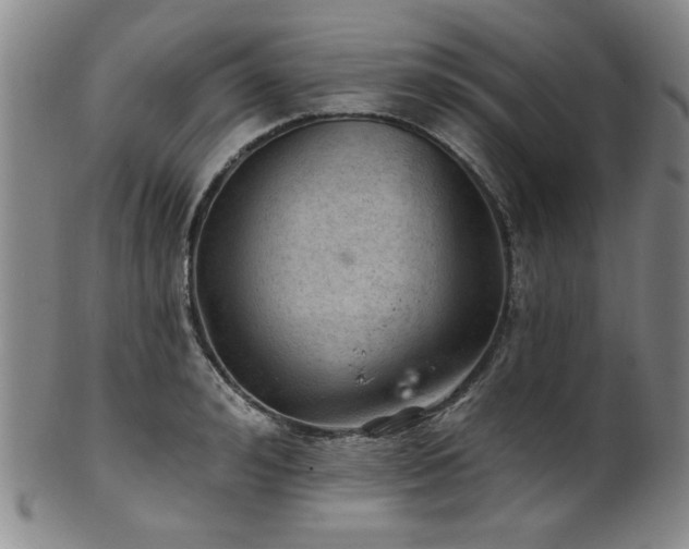 X0000102460992200808081223