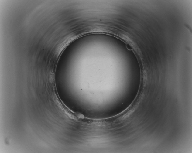 X0000102460993200808081223
