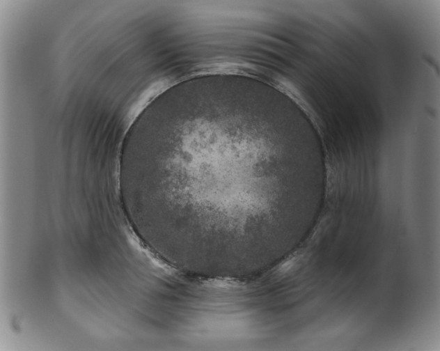 X0000102460994200808081223