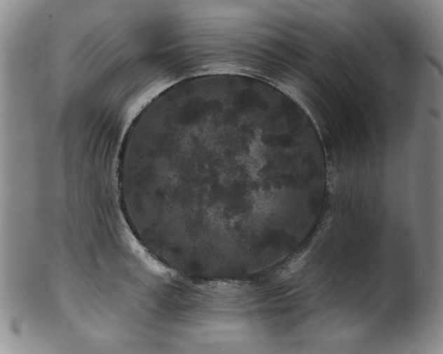 X0000102460995200808081223