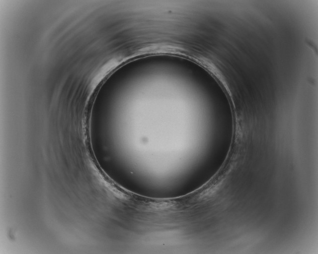 X0000102460997200808081223