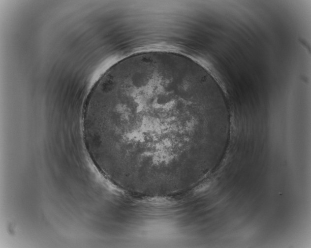 X0000102460998200808081223