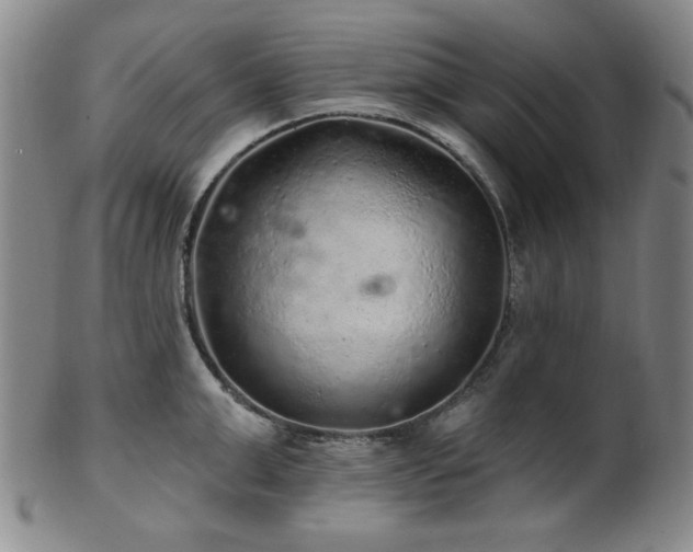 X0000102460999200808081223