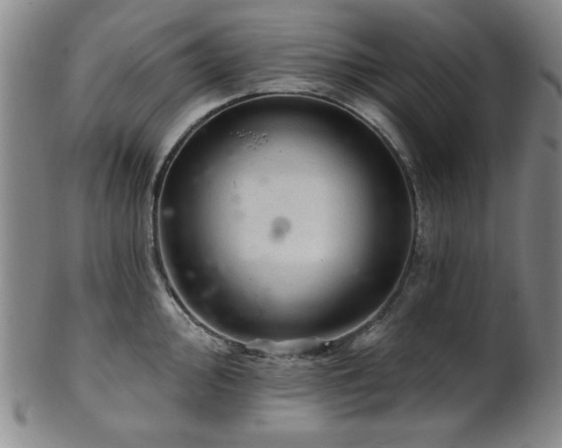 X0000102461000200808081223