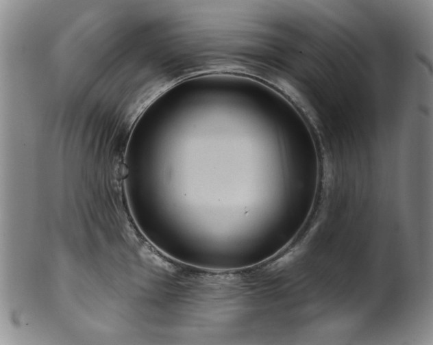 X0000102461001200808081223
