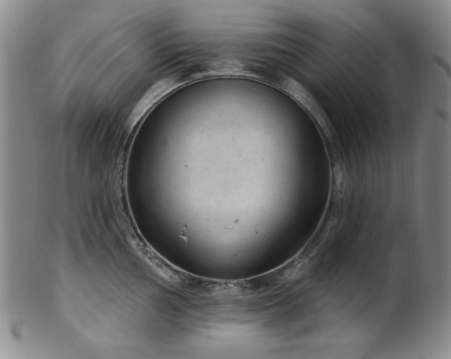 X0000102461002200808081223