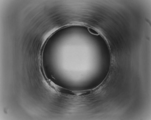 X0000102461003200808081223
