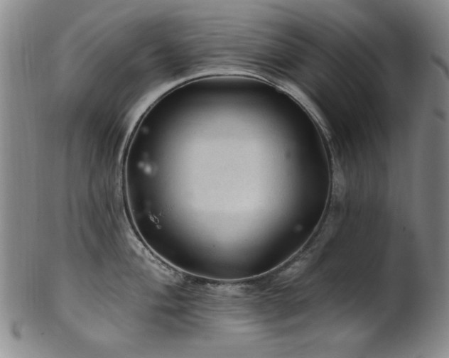 X0000102461004200808081223