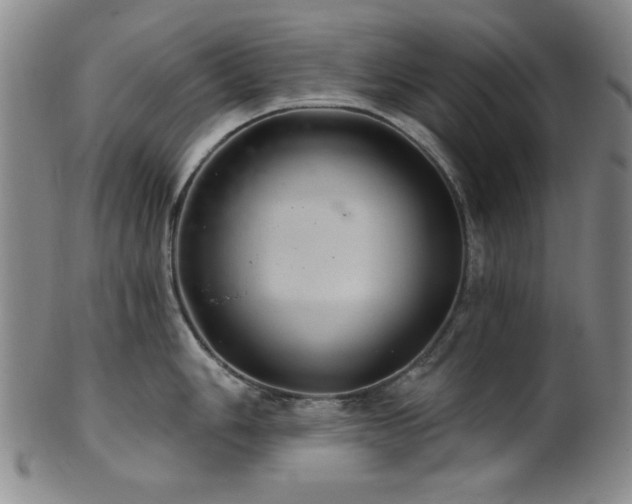 X0000102461006200808081223